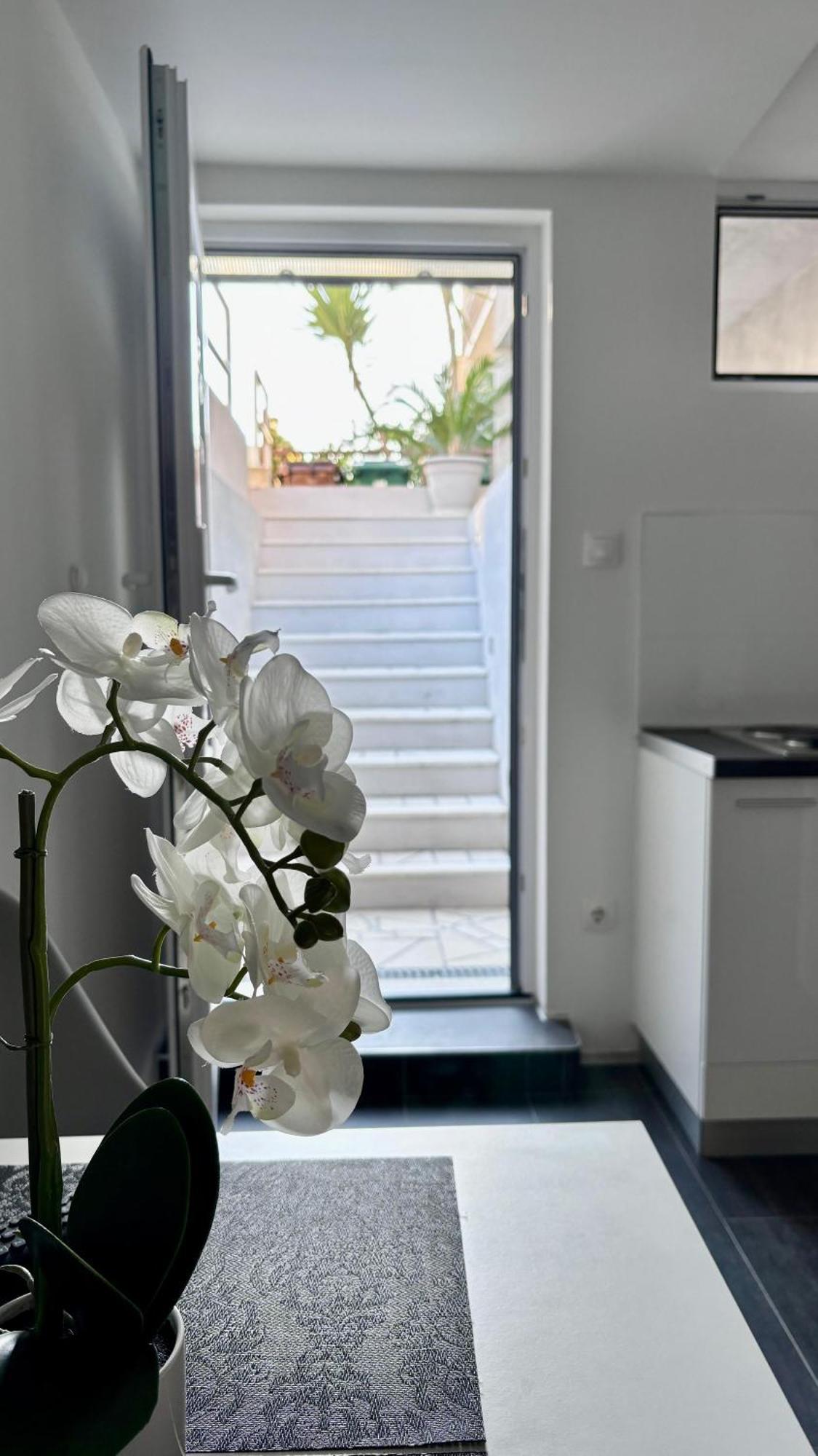 Apartman Branka *** Split Kültér fotó